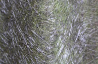 Crowdicote fibreglass roof work